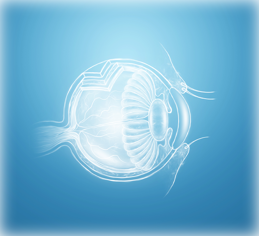 image of an eye ball